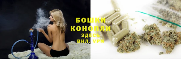 MESCALINE Аркадак