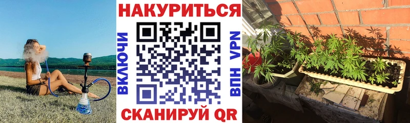 Шишки марихуана White Widow Удомля